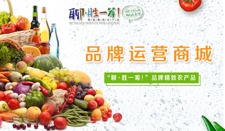 品牌运营商城